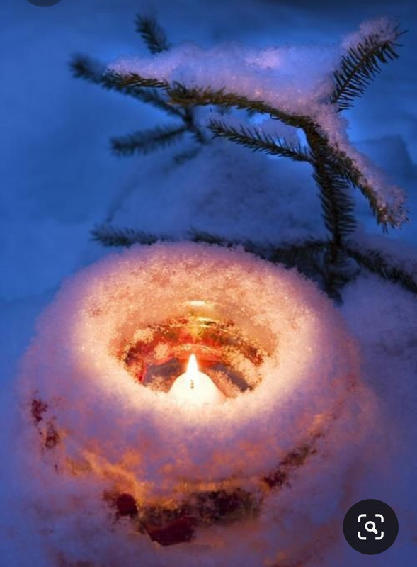 Screenshot_20231102_120300_Pinterest