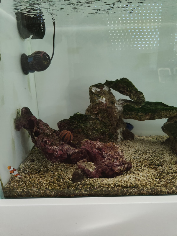 17649216049245167042084276137191