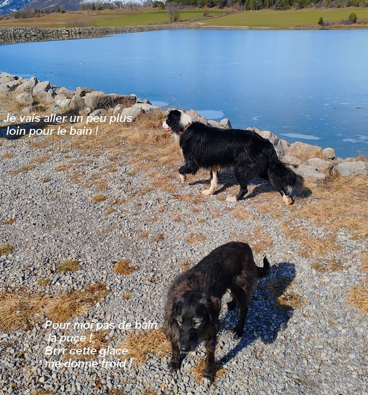 IMG-20260222-121919bb