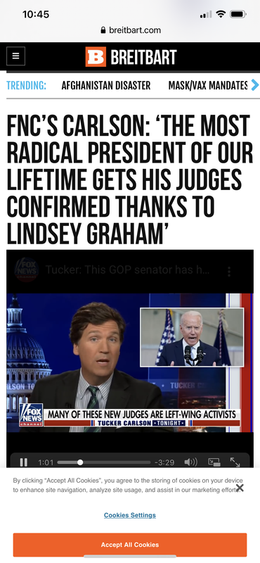 D0C0AF6B-7C81-4FAA-8464-43389286BAD0