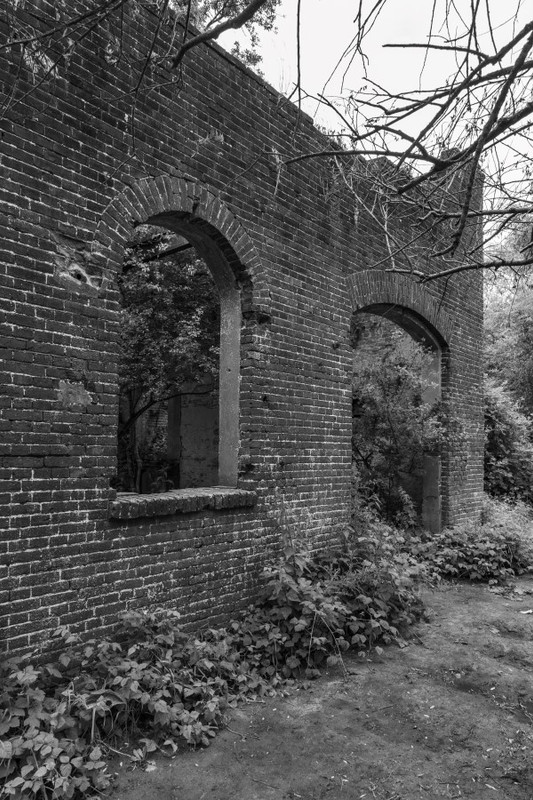 Fotografie