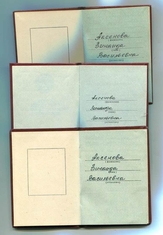 ДН-ТКЗ-ЗП-д2