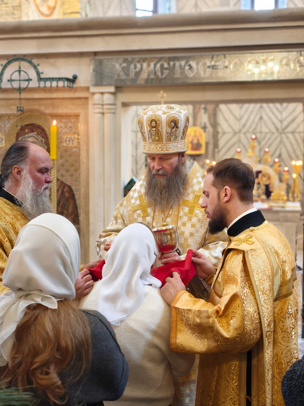 In Shot 20260212 163814059