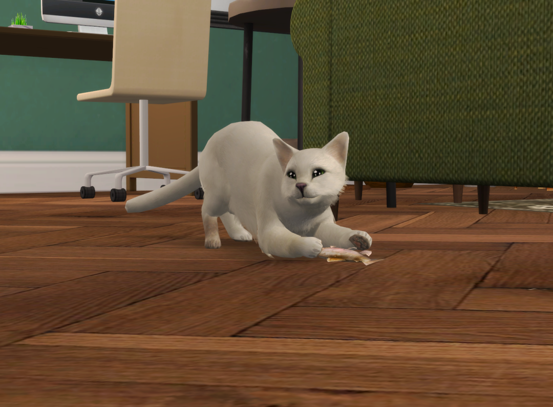 Sims2-EP9-RPC-2024-08-18-13-47-22-21