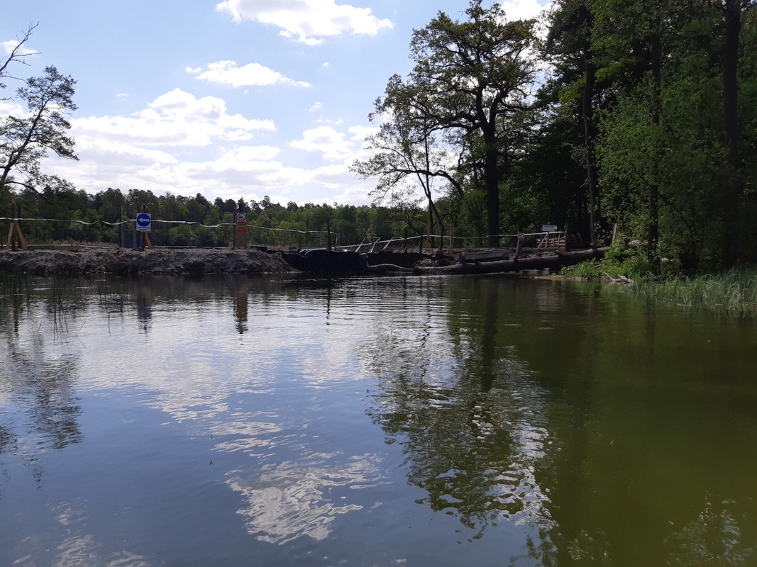 05.04 - 20210602_103939 (PiTT)