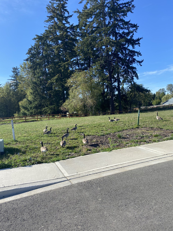 FE7B38E2-BD2C-442E-849A-32451F99E6BA