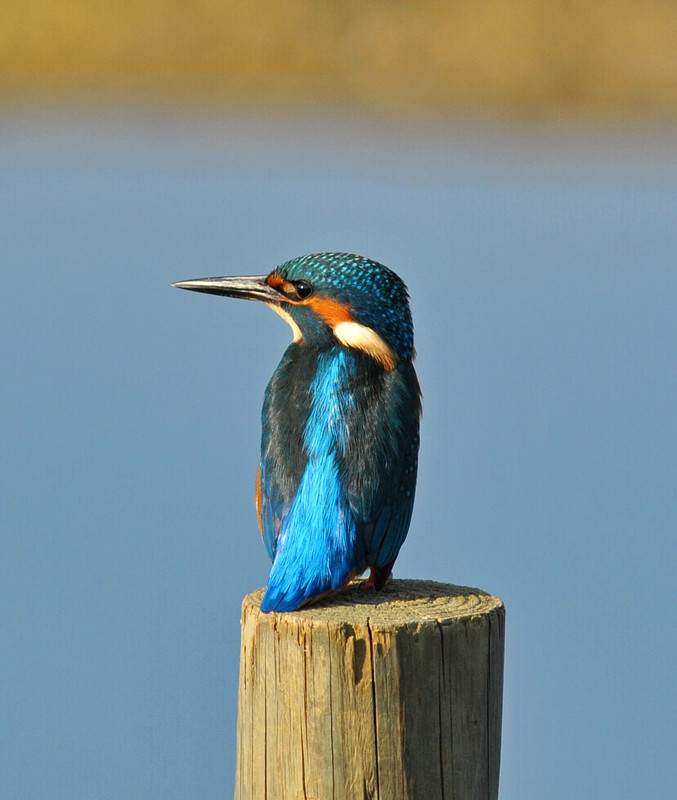 053AFD22-6F77-4A88-93BC-EFBB51C7383B