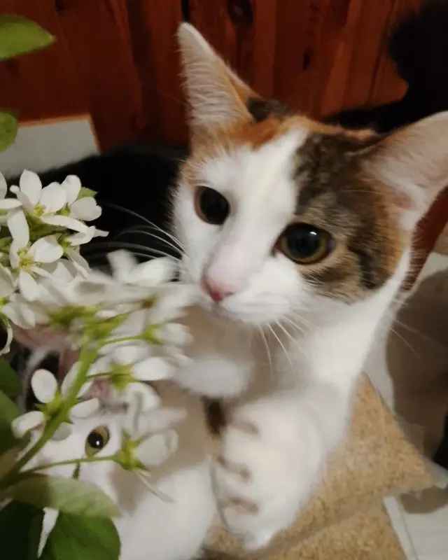 IMG_20220514_210924_678