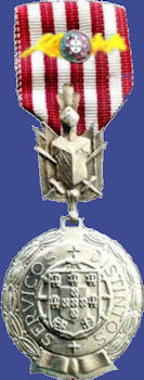 Medalha-de-Prata-de-Servi-os-Distintos-com-palma-350