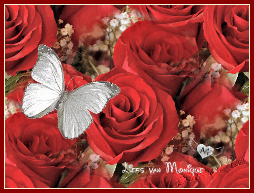 Roos-met-vlinder.gif
