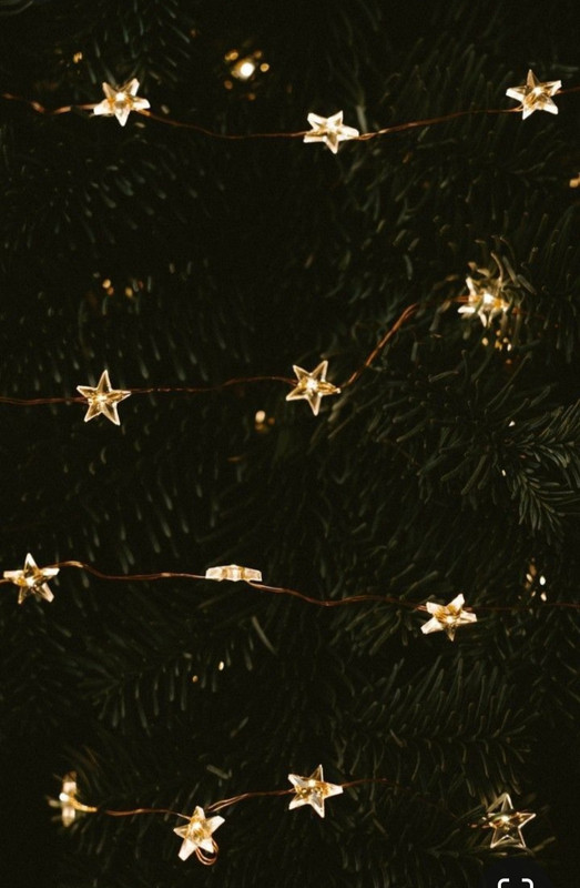 Screenshot_20231121_225413_Pinterest