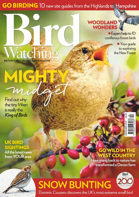 Bird Watching UK - December 2019 Bird Watching UK - December 2019