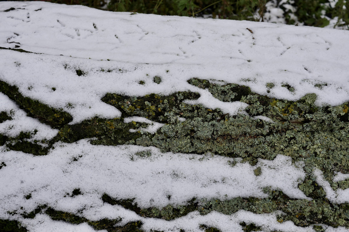 67CCD8E9-A31B-4F37-9132-5885EC00245D