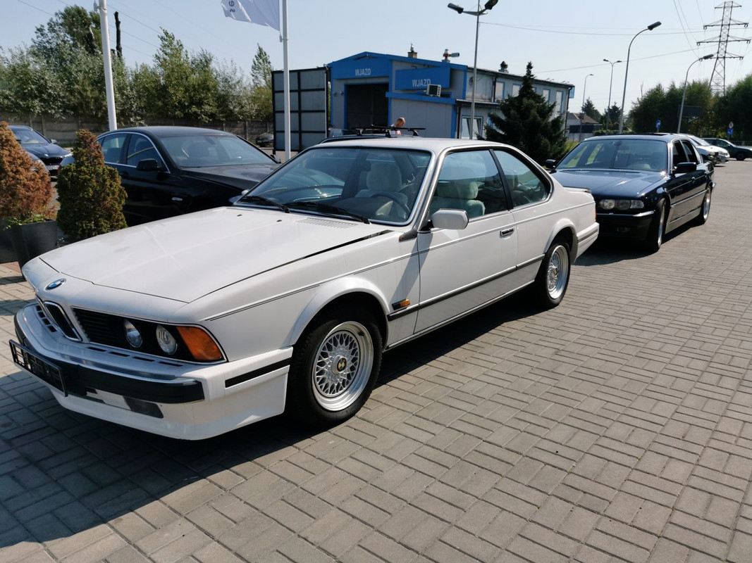 u wróbla [Rozdzielczość Pulpitu]