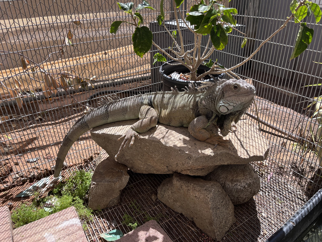 C54429A2-37A2-47AE-A3FE-ADE07CE79B1B