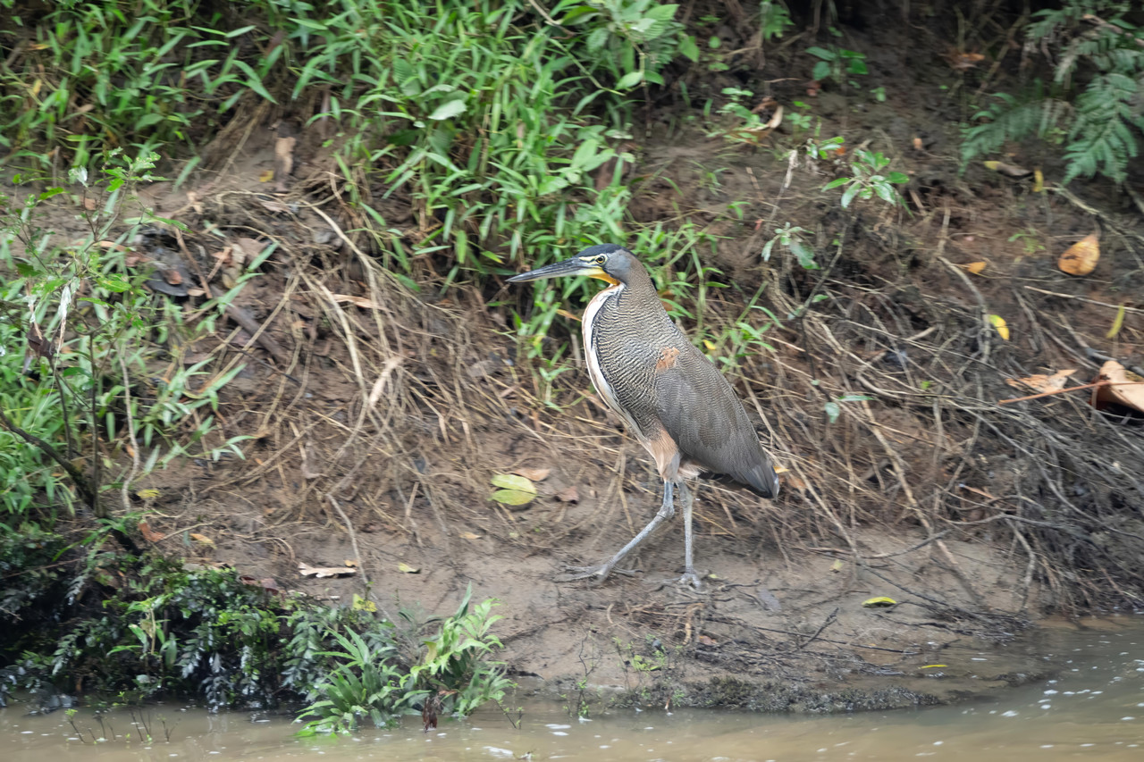 to502ntyfw2g1 topaz denoise sharpen