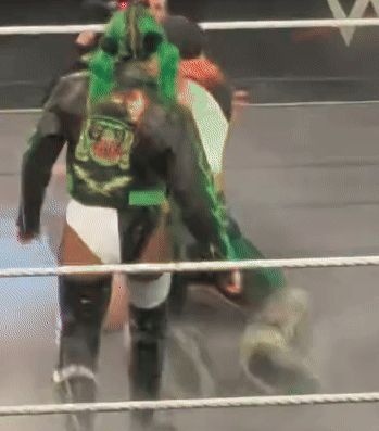jan28d.gif