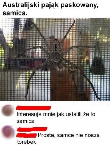 humor.jpg