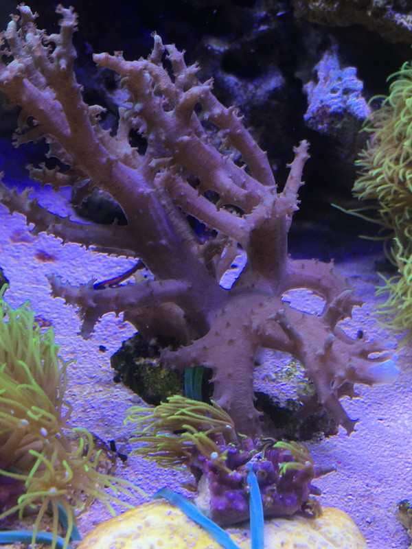 8CB8C0FA-58C6-4D72-8D2F-9E47F9FAB9EC