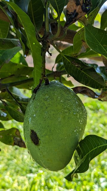 PXL_20231208_175052970