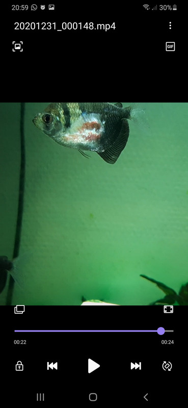 Screenshot_20210102-205913_Video Player