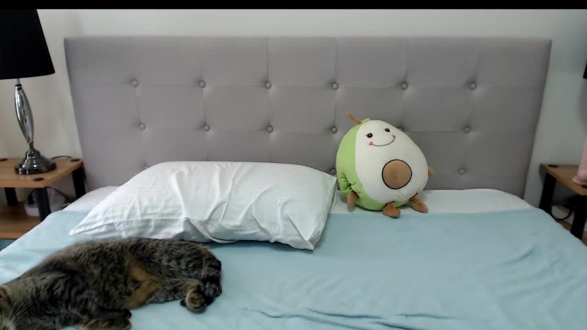 purelycarnal chaturbate Apr 15 2021 01-23-02