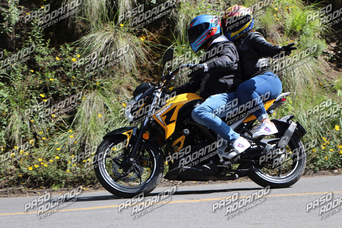 IMG 5645 wm 37594 5 watermarked — Postimages