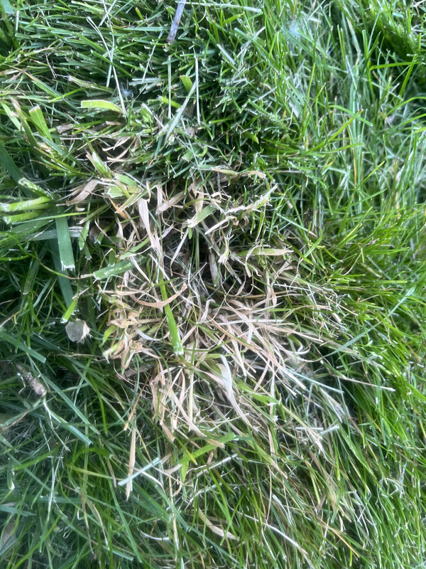 FC3EC840-2E89-47C0-BE91-6C96C62696CD