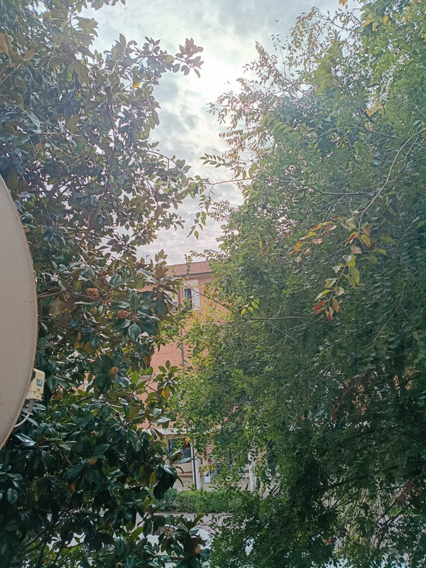 Immagine Whats App 2025 10 25 ore 12 29 57 52b66202