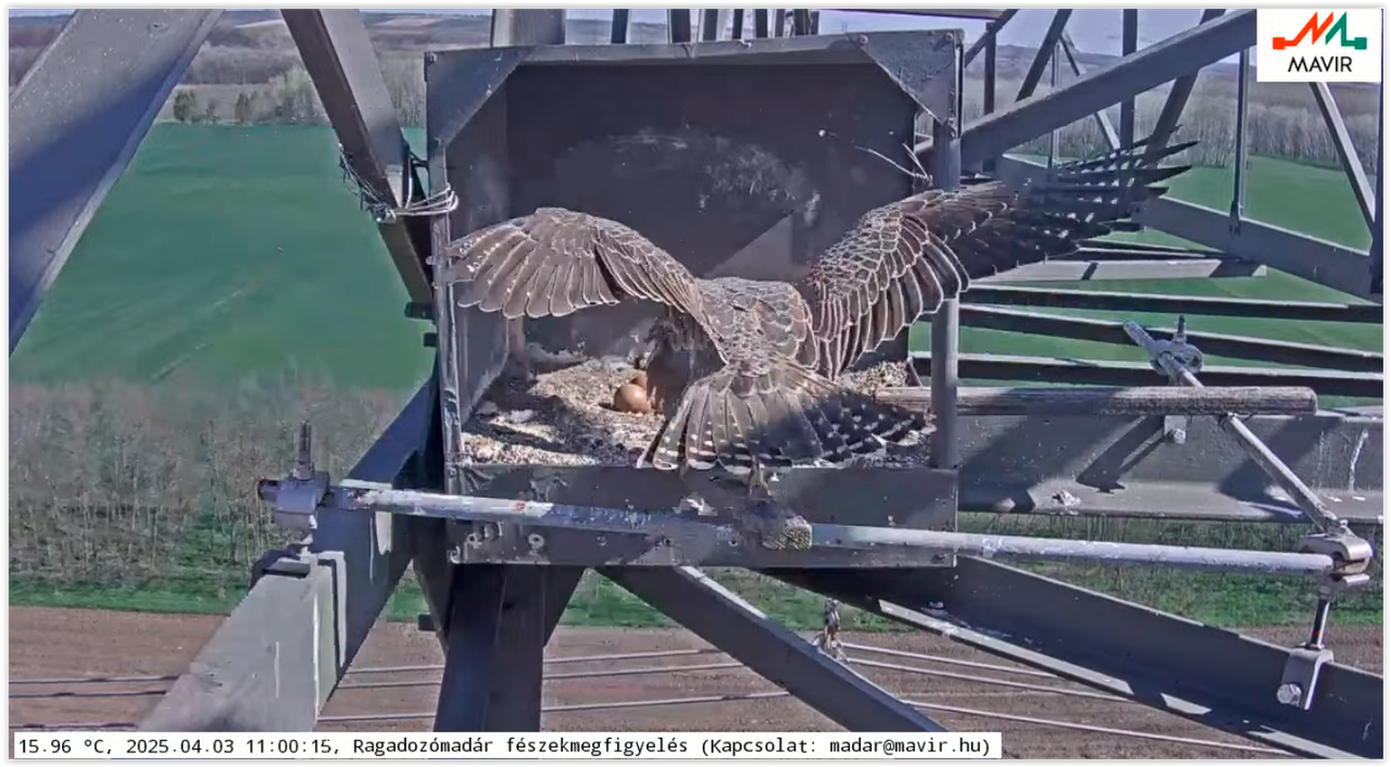 Screen Shot 04-03-25 at 11.00 AM 001