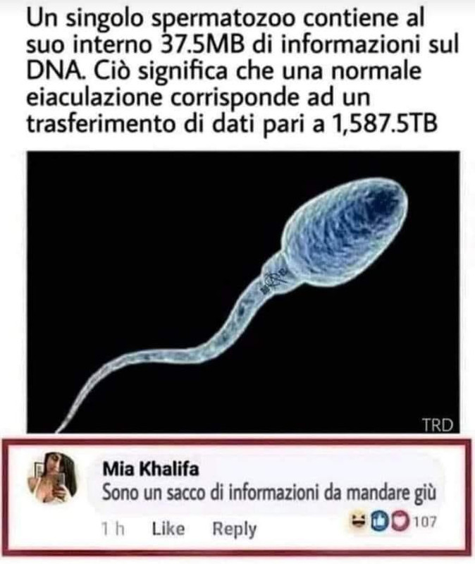 Immagine