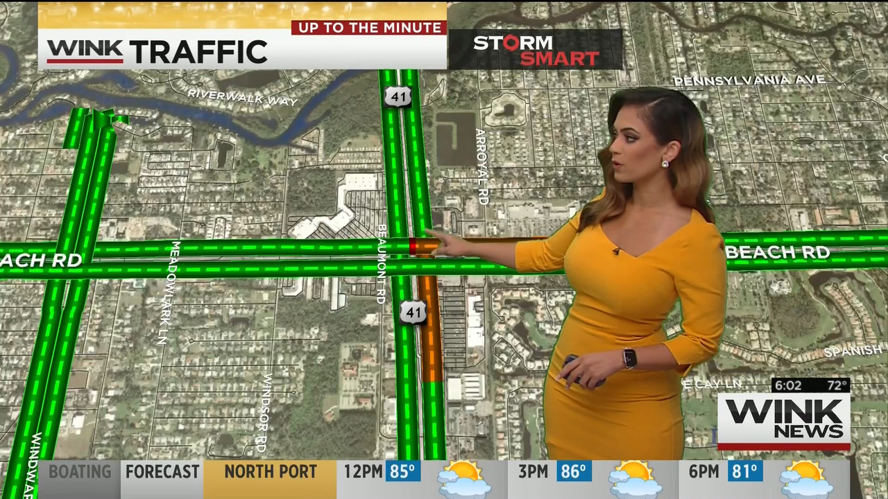 15 May - 11.00.00 - WINK News This Morning..ts_snapshot_03.40_[2020.05.15_23.34.11]