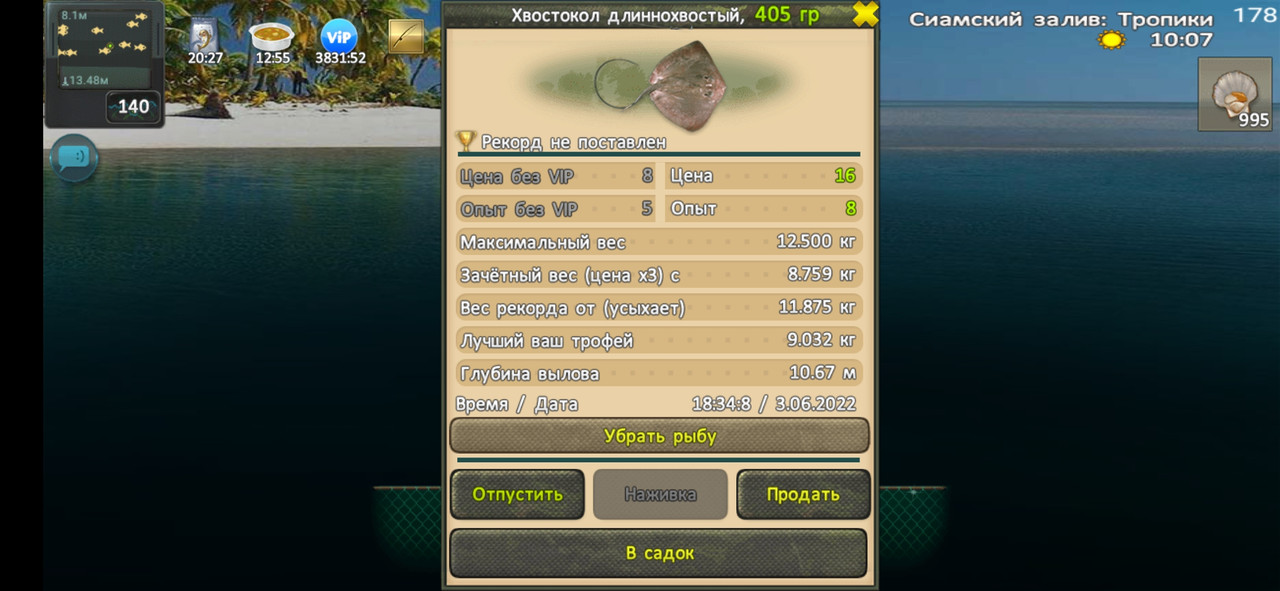 Хвостокол длиннохвостый до 500г