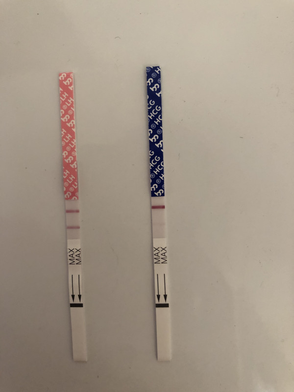 66B82801-239F-4EFD-93E4-BF5E82AEEE0A