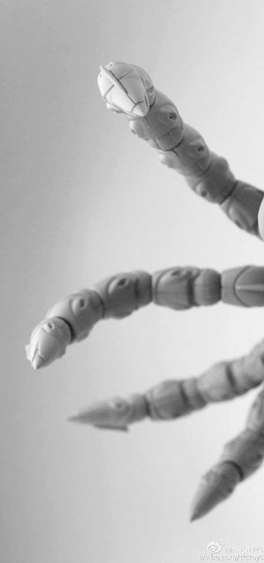 15094874_1166756130077461_1557950677889146159_n