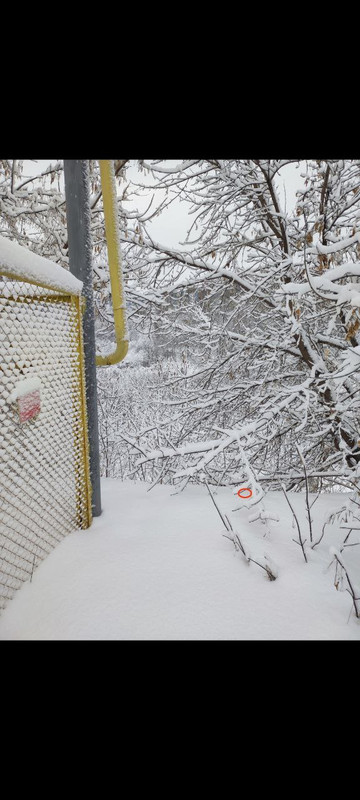 photo 2025 11 27 03 11 19