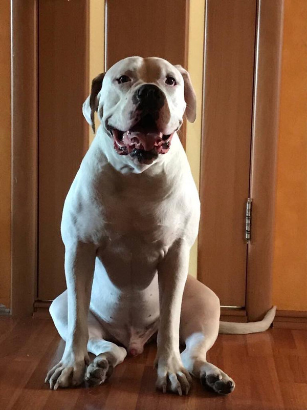 045A6A0C-A9E2-4B00-BBB6-A69571EA7E35