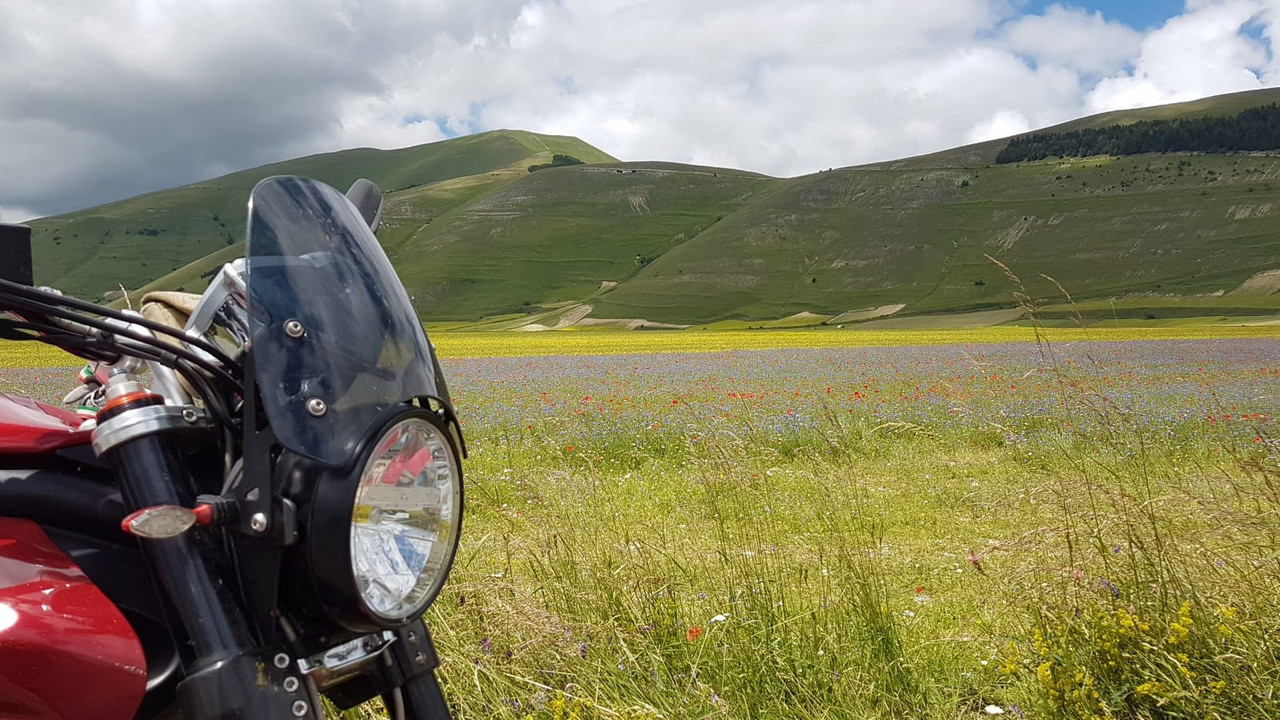 WhatsApp Image 2018-06-29 at 12.39.36