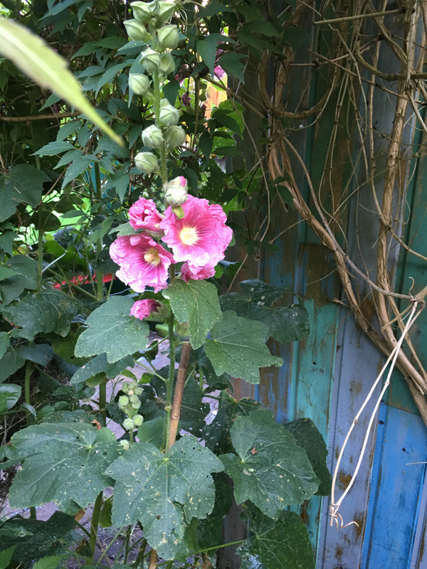 EA190BCB-D8DB-4BD8-85AB-1081B606BCFC