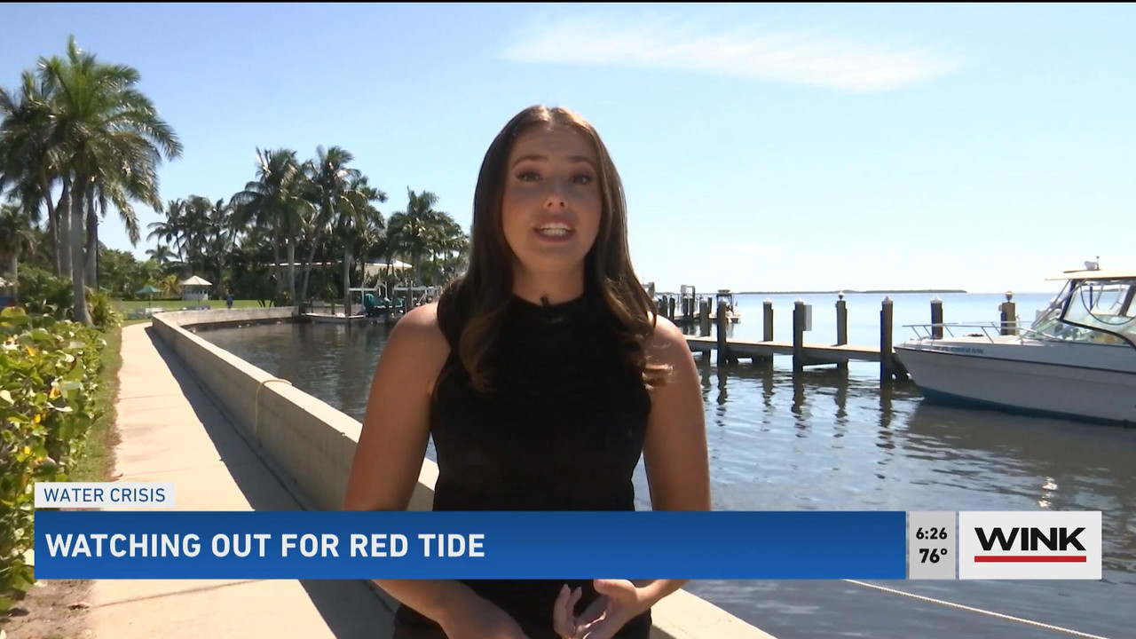 10.24 - 11.00.00 - WINK News @ 6 00AM Sunday. Local news, sports and ....ts_snapshot_00.29.14_[2021.