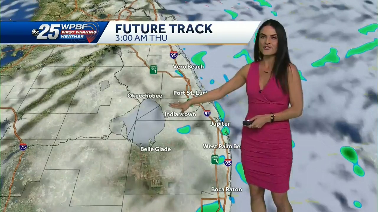 12.23 - 14.00.00 - WPBF 25 News at 9 00 AM..ts_snapshot_00.53.03.386