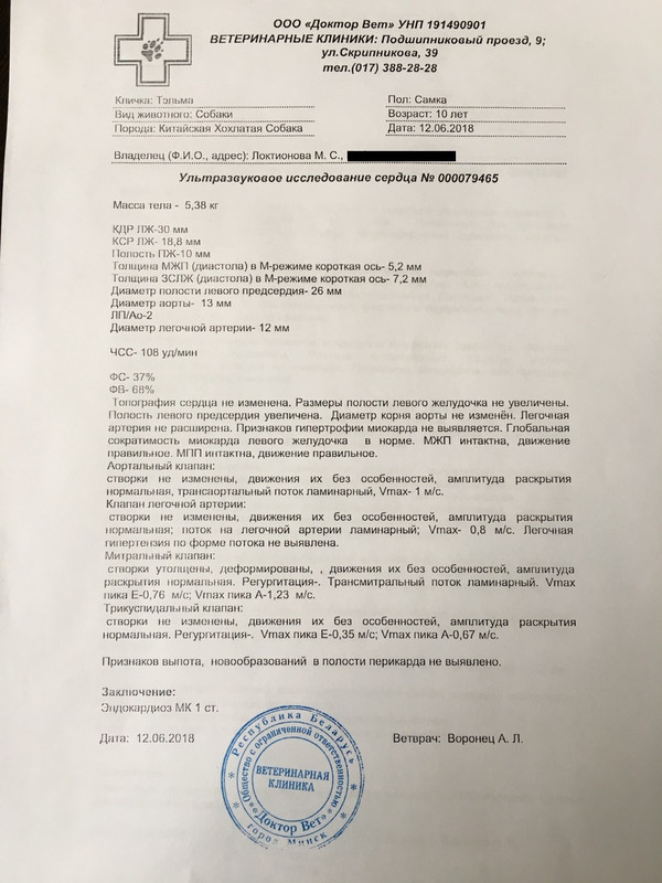 тельма узи с