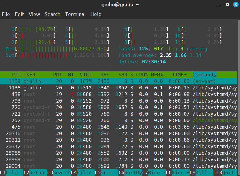 ai-singapore-llama3.1-8b-uso-risorse-linux-htop