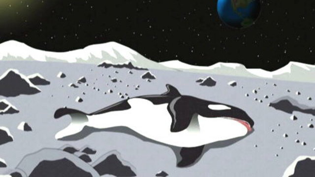 B0617B68-EEA5-42CA-AAE1-64CF6AE16FF3