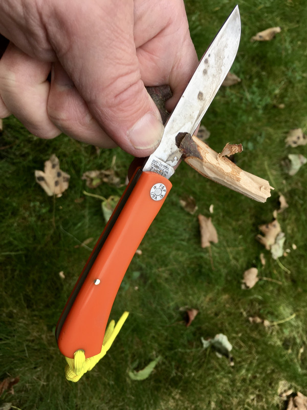 F39F1692-CD2C-4086-84A7-DBCB56E2CD18