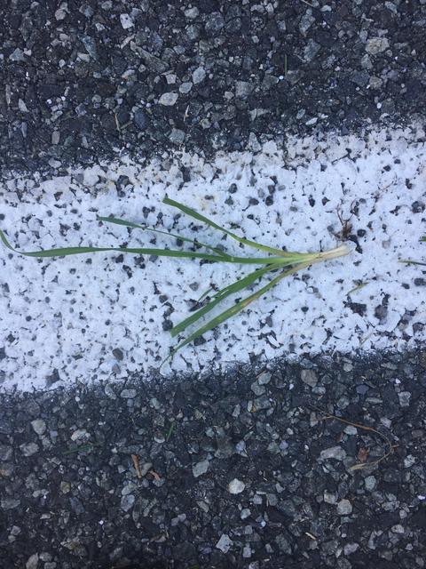 0896211B-A132-485D-8F42-1E1802C92584