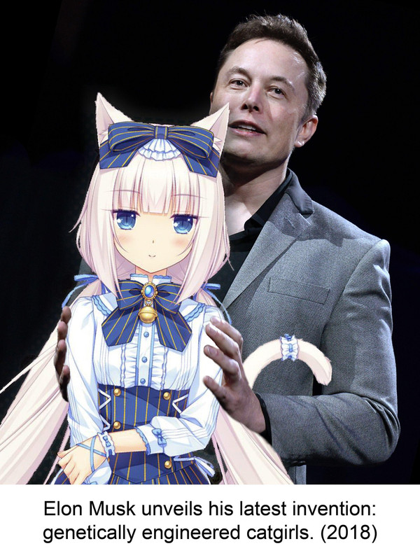 elonmusk-catgirl