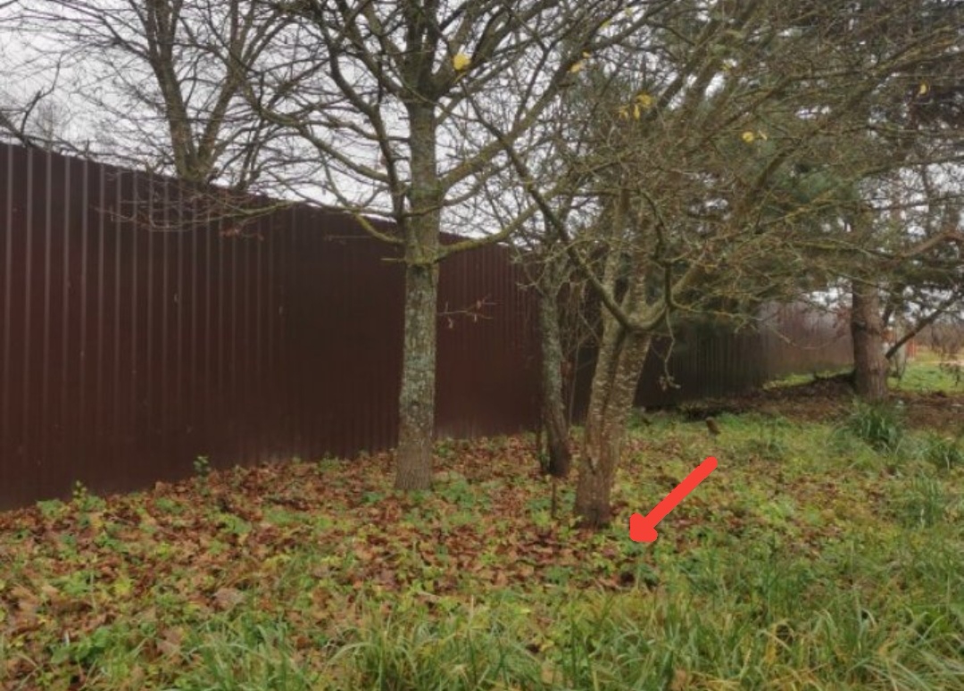 Screenshot 20251111 221734 ch blinkenlights android vanilla edit 356616027708599