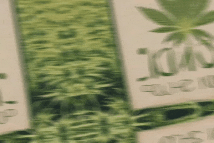 GIF-20250706-081214-821.gif