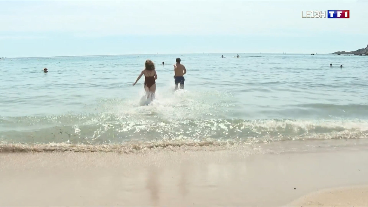 2021-06-11_13_00_TF1_Le-13h.mp4_snapshot_00.28.42.289